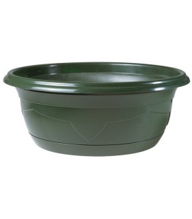 COUPE PLANTE MILLESIA 036 H14cm filet de 25P